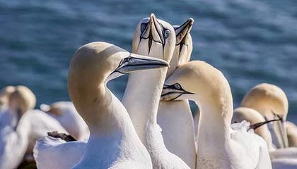 星空体育团队-孙杨抓住了1/400的机会 但重审并不等于万事大吉